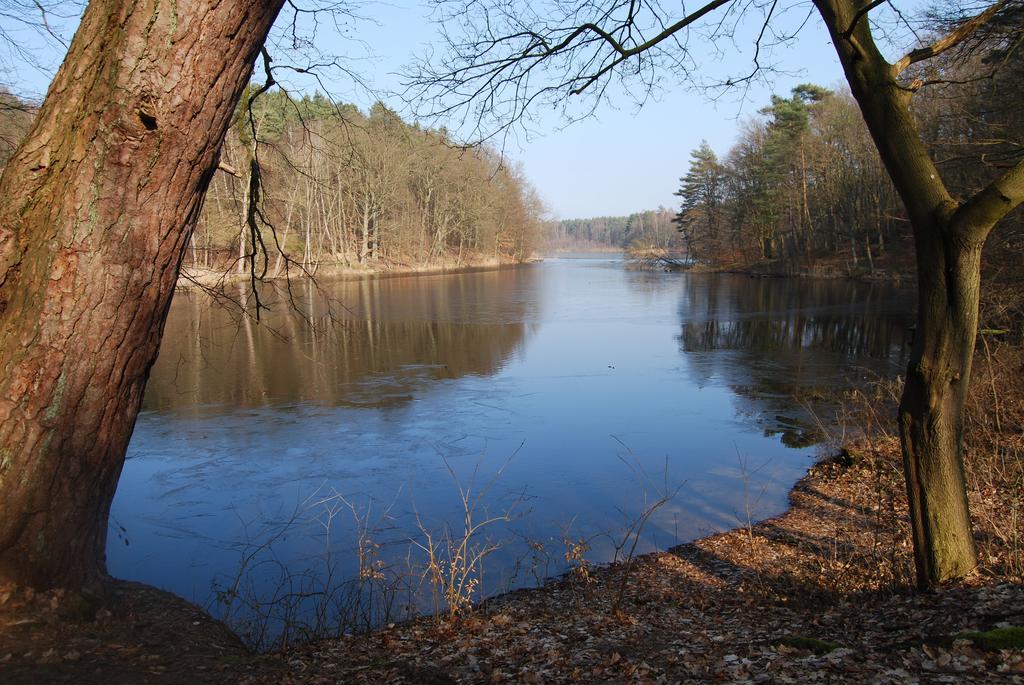 Perła